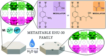 Graphical abstract: Metastable Zr/Hf-MOFs: the hexagonal family of EHU-30 and their water-sorption induced structural transformation
