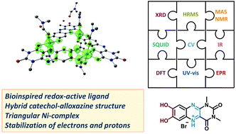 Graphical abstract: A hybrid bioinspired catechol-alloxazine triangular nickel complex stabilizing protons and electrons