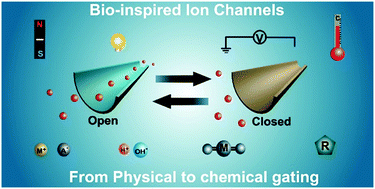 Graphical abstract: Bio-inspired artificial ion channels: from physical to chemical gating