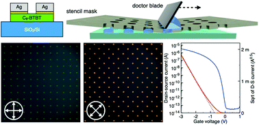 Graphical abstract: Stencil mask defined doctor blade printing of organic single crystal arrays for high-performance organic field-effect transistors