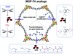 Graphical abstract: MOF-74 type variants for CO2 capture