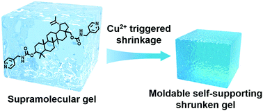 Graphical abstract: Cu2+-triggered shrinkage of a natural betulin-derived supramolecular gel to fabricate moldable self-supporting gel