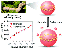 Graphical abstract: Silk fibroin microspheres as optical resonators for wide-range humidity sensing and biodegradable lasers
