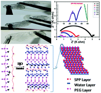 Graphical abstract: Ionic conductivity and dielectric properties of bulk SPP-PEG hydrogels as Na+ ion-based SPE materials for energy storage applications