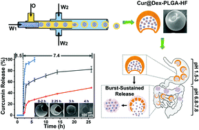 Graphical abstract: One-step prepared nano-in-micro microcapsule delivery vehicle with sequential burst–sustained drug release for the targeted treatment of inflammatory bowel disease