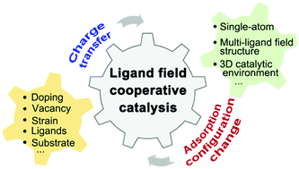 Graphical abstract: A review of the synergistic effect of multi-coordination crystal fields on electrocatalysts