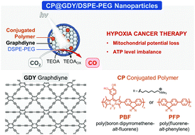 Graphical abstract: Photoactive conjugated polymer/graphdiyne nanocatalyst for CO2 reduction to CO in living cells for hypoxia tumor treatment
