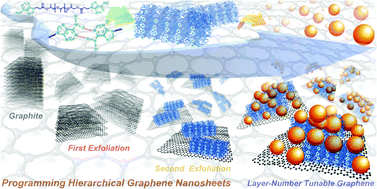Graphical abstract: Programmed exfoliation of hierarchical graphene nanosheets mediated by dynamic self-assembly of supramolecular polymers