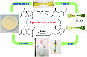 Graphical abstract: Reducing the reprocessing and healing temperature of polyurea with piperazine-based hindered urea bonds