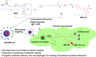 Graphical abstract: Glutathione-responsive multifunctional nanoparticles based on mannose-modified pillar[5]arene for targeted antibiotic delivery against intracellular methicillin-resistant S. aureus