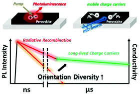 Graphical abstract: Controlling the charge carrier dynamics by modulating the orientation diversity of perovskites