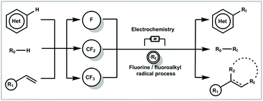 Graphical abstract: Recent advances in electrochemically driven radical fluorination and fluoroalkylation