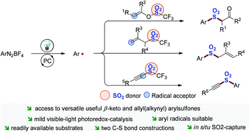 Graphical abstract: Visible-light photoredox-catalyzed aryl radical in situ SO2-capture reactions
