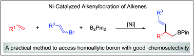 Graphical abstract: Nickel-catalyzed alkenylboration of alkenylarenes to access homoallylic boronic esters
