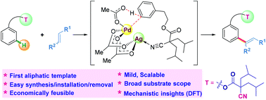 Graphical abstract: A simple removable aliphatic nitrile template 2-cyano-2,2-di-isobutyl acetic acid for remote meta-selective C–H functionalization