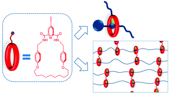 Graphical abstract: Synthetic platform for mono-functionalised tridentate macrocycles as key precursors of mechanically-linked macromolecular systems