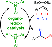 Graphical abstract: Organo-redox-catalysis for the difunctionalization of alkenes and oxidative Ritter reactions by C–H functionalization