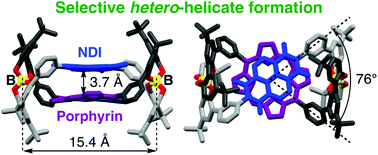 Graphical abstract: Selective formation of spiroborate-based double-stranded hetero-helicates assisted by donor–acceptor interactions