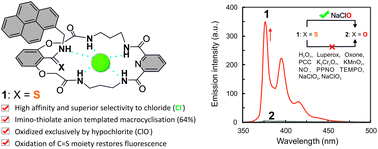 Graphical abstract: Imino-thiolate-templated synthesis of a chloride-selective neutral macrocyclic host with a specific “turn-off–on” fluorescence response for hypochlorite (ClO−)
