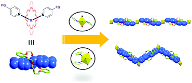 Graphical abstract: Coordination-driven assembly of actinide-organic polyrotaxanes involving crown ether macrocycles