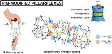 Graphical abstract: Triazolate-based pillarplexes: shape-adaptive metallocavitands via rim modification of macrocyclic ligands