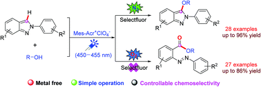 Graphical abstract: Controllable chemoselectivity in the reaction of 2H-indazoles with alcohols under visible-light irradiation: synthesis of C3-alkoxylated 2H-indazoles and ortho-alkoxycarbonylated azobenzenes