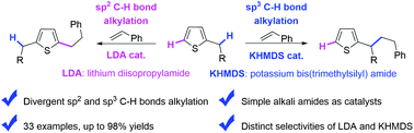 Graphical abstract: Alkali-amide-catalyzed divergent sp2 and sp3 C–H bonds alkylation of alkylthiophenes with alkenes