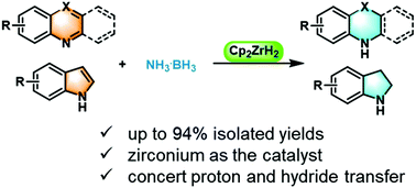 Graphical abstract: Zirconium-hydride-catalyzed transfer hydrogenation of quinolines and indoles with ammonia borane