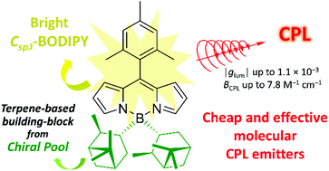 Graphical abstract: Isopinocampheyl-based C-BODIPYs: a model strategy to construct cost-effective boron-chelate emitters of circularly polarized light
