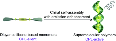 Graphical abstract: Chiral supramolecular polymerization of dicyanostilbenes with emergent circularly polarized luminescence behavior