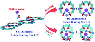 Graphical abstract: Switchable supramolecular ensemble for anion binding with ditopic hydrogen-bonded macrocycles