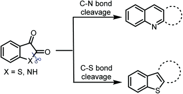 Graphical abstract: Recent advances in cyclization reactions of isatins or thioisatins via C–N or C–S bond cleavage
