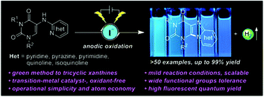 Graphical abstract: Electrochemically facilitated oxidative C–H amination enables access to fluorescent N9-fused tricyclic xanthines