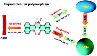 Graphical abstract: Supramolecular polymorphism in aggregates of a boron-difluoride complex of peri-naphthoindigo via solvent- and pathway-dependent self-assembly