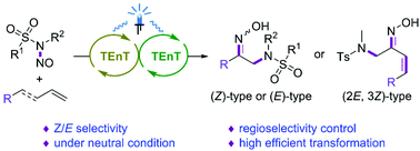 Graphical abstract: Controllable Z/E-selective synthesis of α-amino-ketoximes from N-nitrososulfonamides and aryl alkenes under neutral conditions
