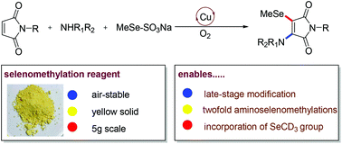 Graphical abstract: An MeSeSO3Na reagent for oxidative aminoselenomethylation of maleimides