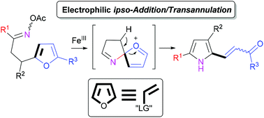 Graphical abstract: Intramolecular iron-catalyzed transannulation of furans with O-acetyl oximes: synthesis of functionalized pyrroles