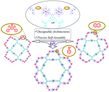 Graphical abstract: Customized self-assembled molecules: rim adjustable coronal polygons with multiple-folds symmetry