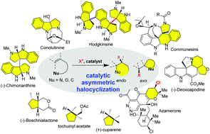 Graphical abstract: The applications of catalytic asymmetric halocyclization in natural product synthesis