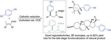 Graphical abstract: Regioselective umpolung addition of dicyanobenzene to α,β-unsaturated alkenes enabled by electrochemical reduction