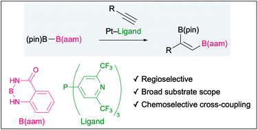 Graphical abstract: Platinum–P(BFPy)3-catalyzed regioselective diboration of terminal alkynes with (pin)B–B(aam)