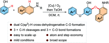 Graphical abstract: Formal dual C(sp2)–H cross-dehydrogenative C–O bond formation to construct highly functionalized diaryl ethers with O2