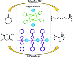 Graphical abstract: Ring opening polymerization of d,l-lactide and ε-caprolactone catalysed by (pyrazol-1-yl)copper(ii) carboxylate complexes
