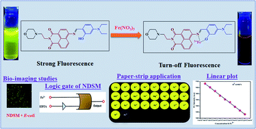 Graphical abstract: Highly sensitive naphthalimide based Schiff base for the fluorimetric detection of Fe3+