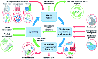 Graphical abstract: Ocean plastics: environmental implications and potential routes for mitigation – a perspective