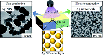 Graphical abstract: Conductive nanosheets produced by UV irradiation of a Ag nanoparticle monolayer at the air–water interface