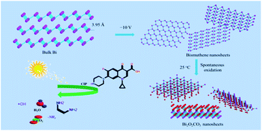 Graphical abstract: Few-layer Bi2O2CO3 nanosheets derived from electrochemically exfoliated bismuthene for the enhanced photocatalytic degradation of ciprofloxacin antibiotic