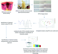 Graphical abstract: Royal jelly fatty acids bioprofiling using TLC-MS and digital image analysis coupled with chemometrics and non-parametric regression for discovering efficient biomarkers against melanoma
