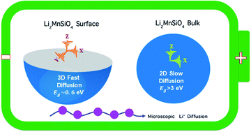 Graphical abstract: Fast 3D-lithium-ion diffusion and high electronic conductivity of Li2MnSiO4 surfaces for rechargeable lithium-ion batteries