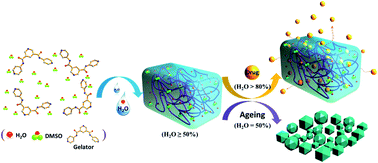 Graphical abstract: Supramolecular gel formation regulated by water content in organic solvents: self-assembly mechanism and biomedical applications